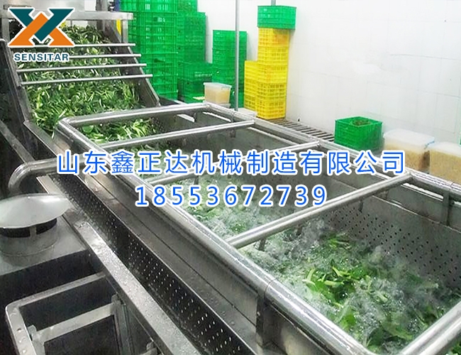 清洗风干油炸流水线