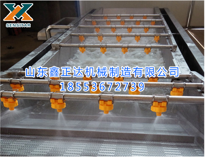 果蔬清洗流水线