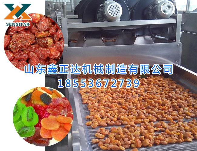 果脯风干设备